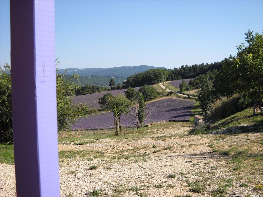 Aurel Inattendu Room photo